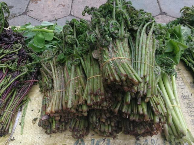 北国风光与文化交融,吉林瑰宝巡礼