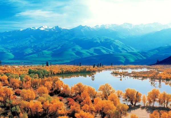 新疆,多彩边疆的魅力与独特风采