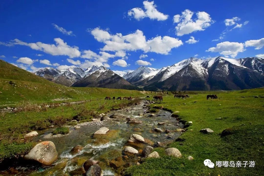 新疆,多彩边疆的魅力与独特风采